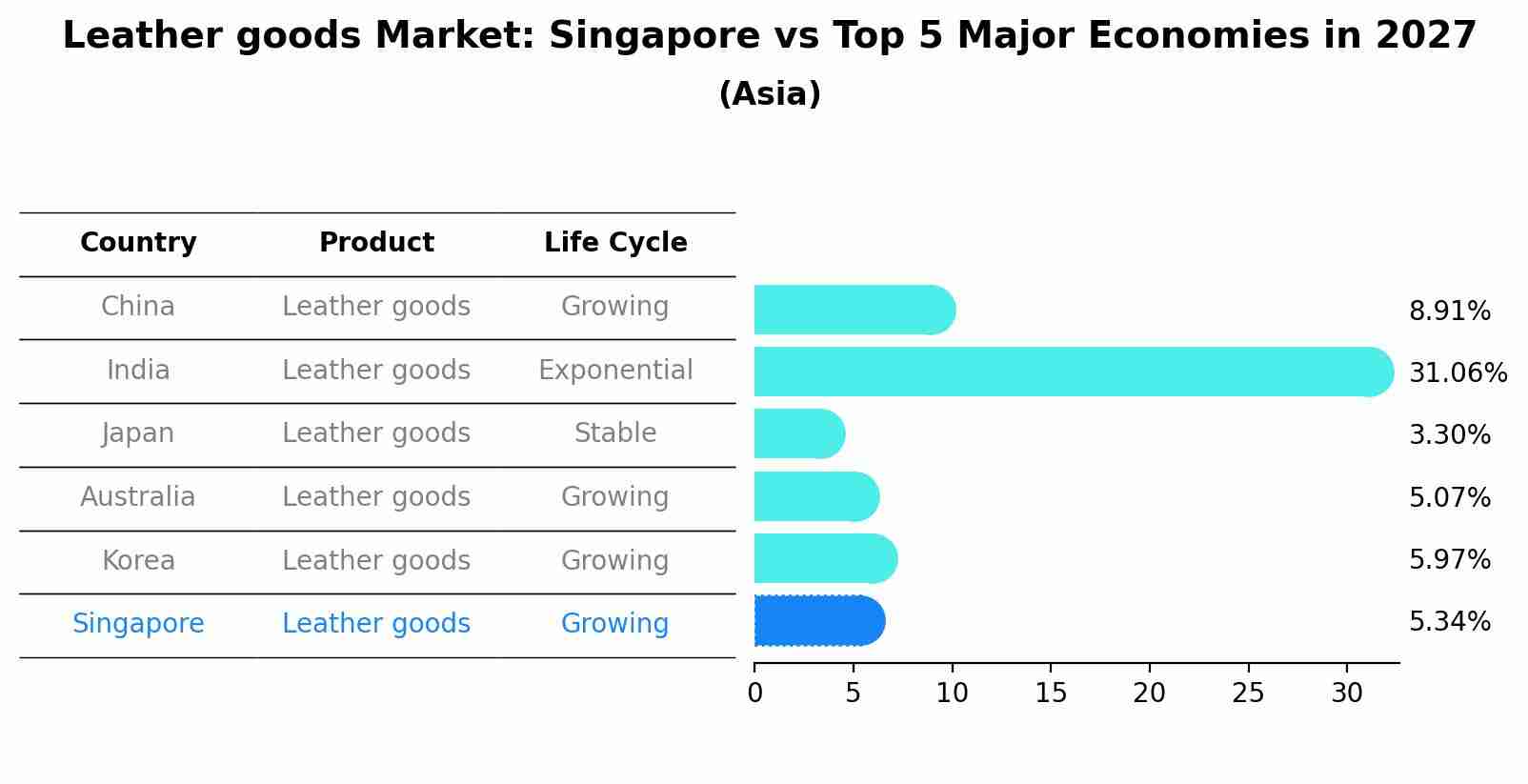 Leather goods Market: Singapore vs Top 5 Major Economies in 2027 (Asia)