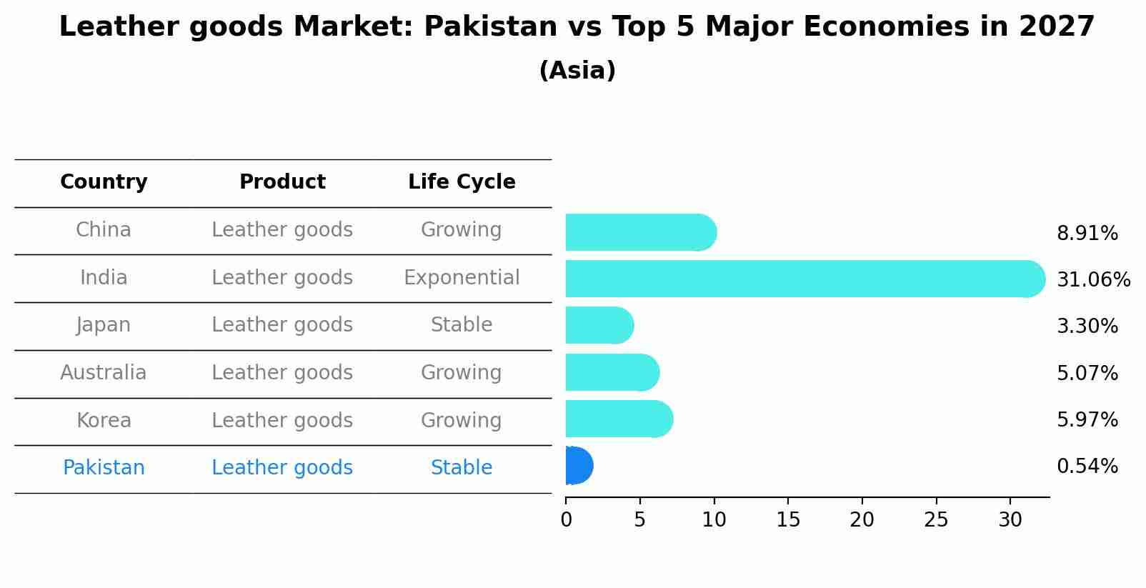 Leather goods Market: Pakistan vs Top 5 Major Economies in 2027 (Asia)