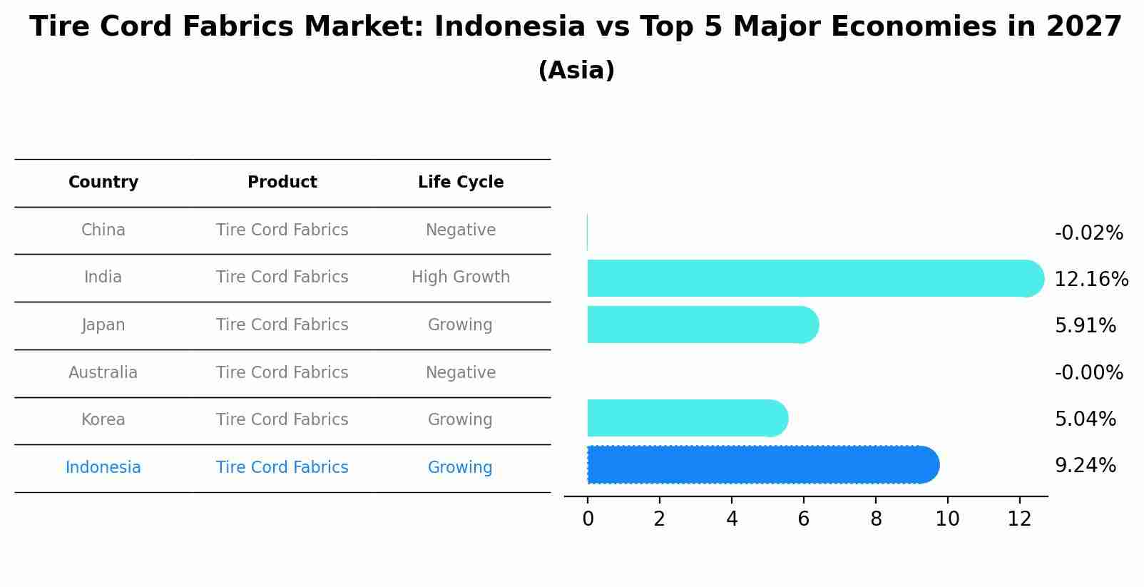 Tire Cord Fabrics Market: Indonesia vs Top 5 Major Economies in 2027 (Asia)