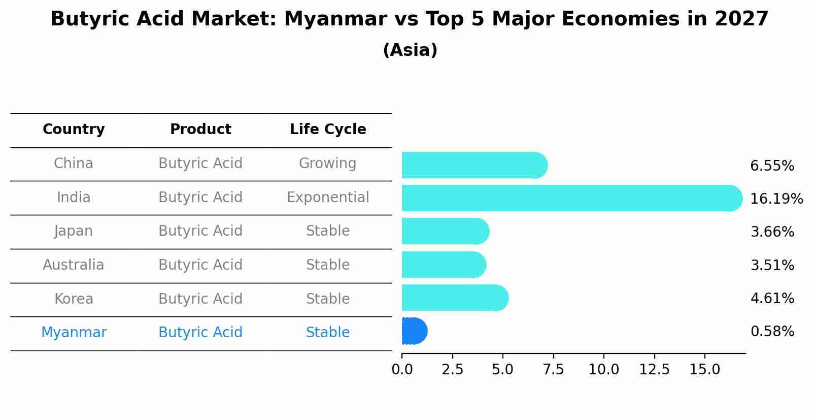 Butyric Acid Market: Myanmar vs Top 5 Major Economies in 2027 (Asia)