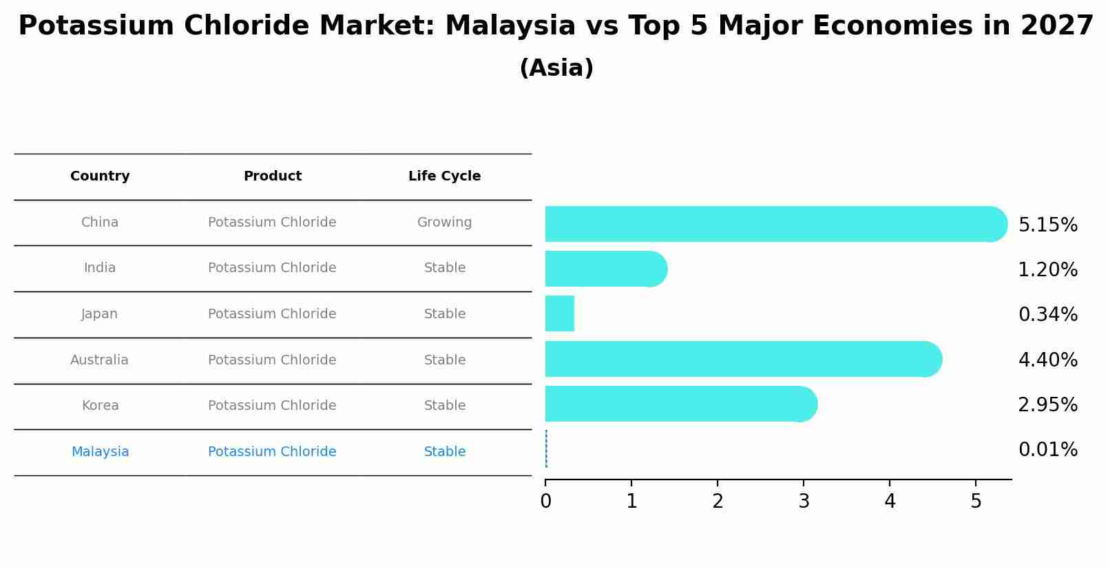 Potassium Chloride Market: Malaysia vs Top 5 Major Economies in 2027 (Asia)
