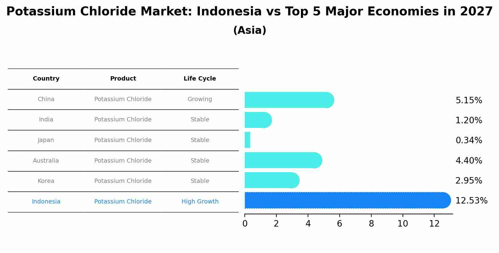 Potassium Chloride Market: Indonesia vs Top 5 Major Economies in 2027 (Asia)
