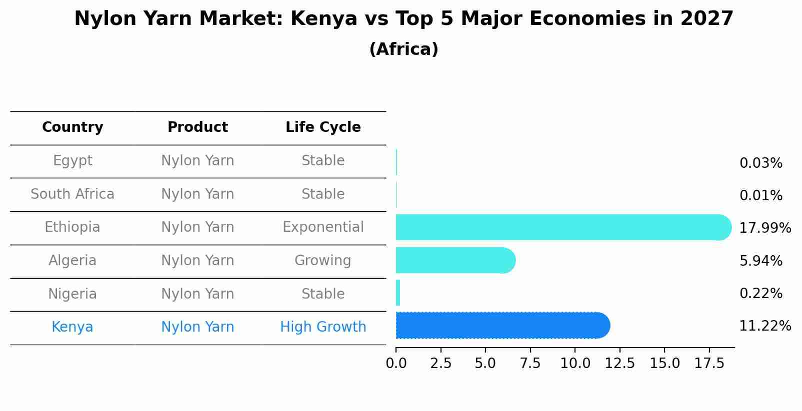 Nylon Yarn Market: Kenya vs Top 5 Major Economies in 2027 (Africa)