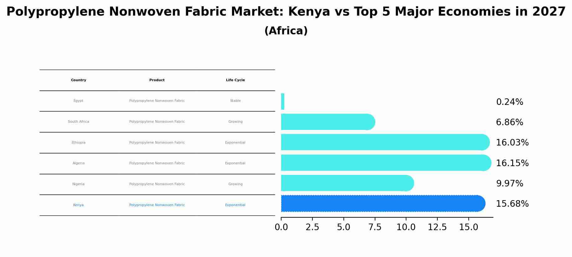 Polypropylene Nonwoven Fabric Market: Kenya vs Top 5 Major Economies in 2027 (Africa)