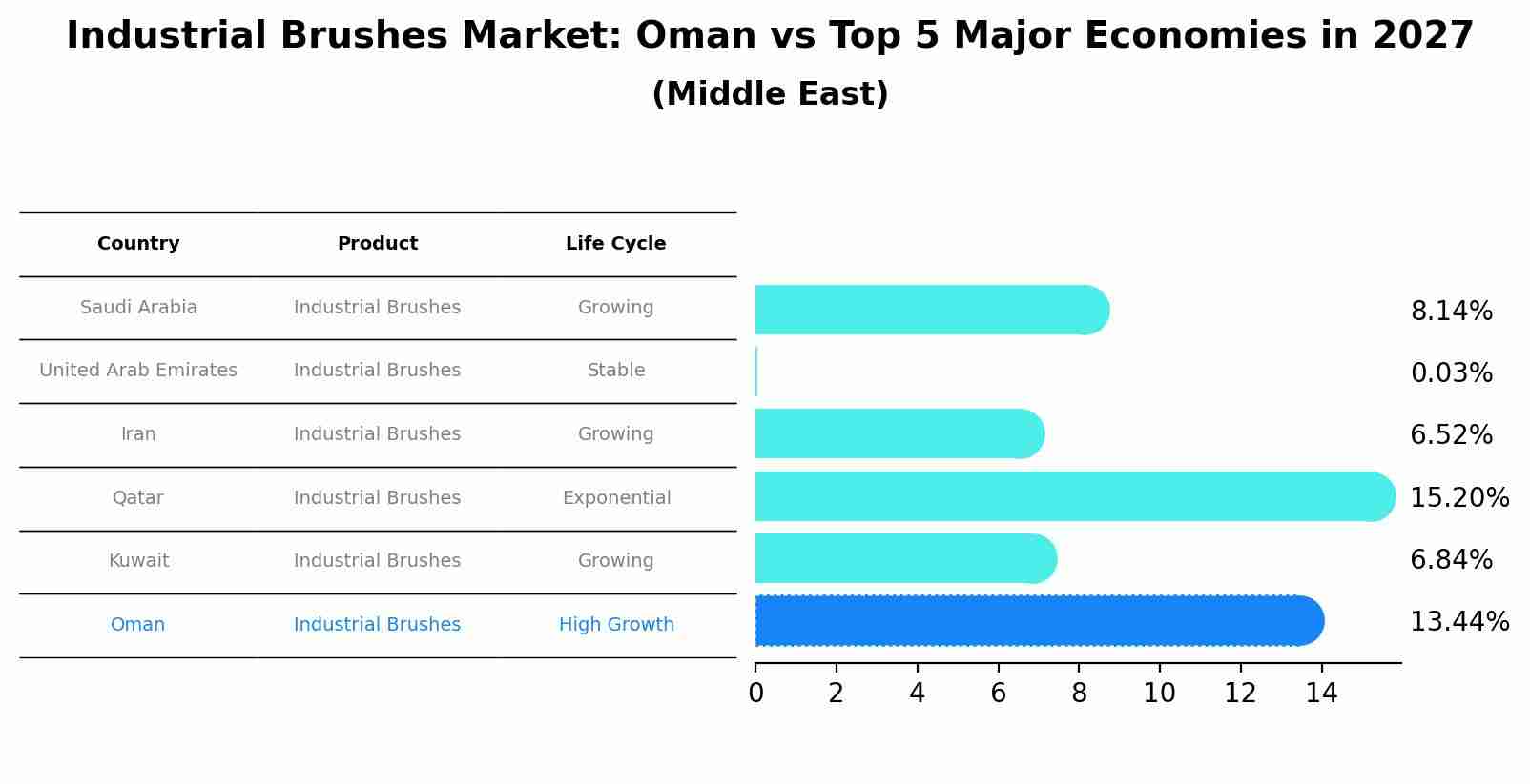Industrial Brushes Market: Oman vs Top 5 Major Economies in 2027 (Middle East)