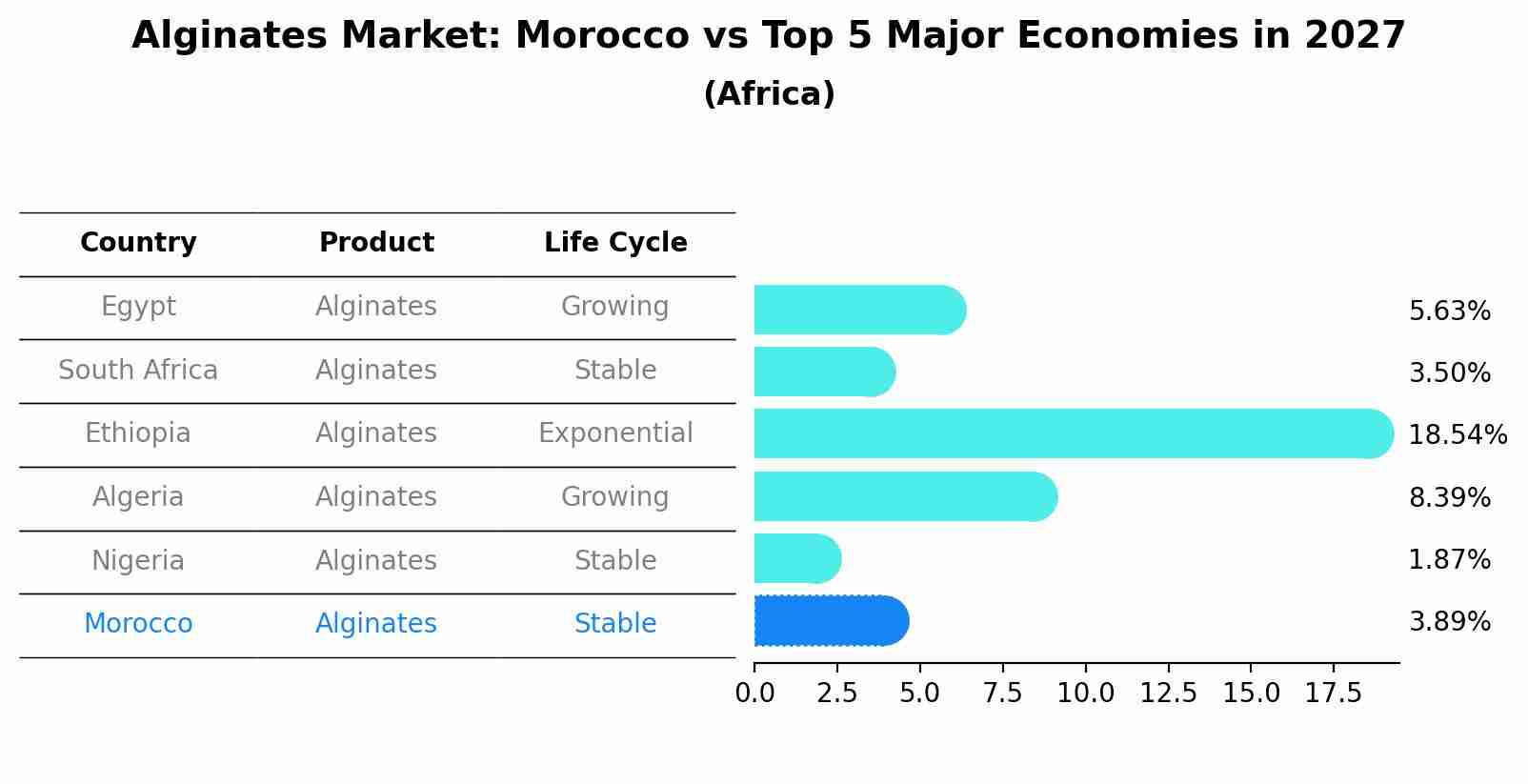 Alginates Market: Morocco vs Top 5 Major Economies in 2027 (Africa)