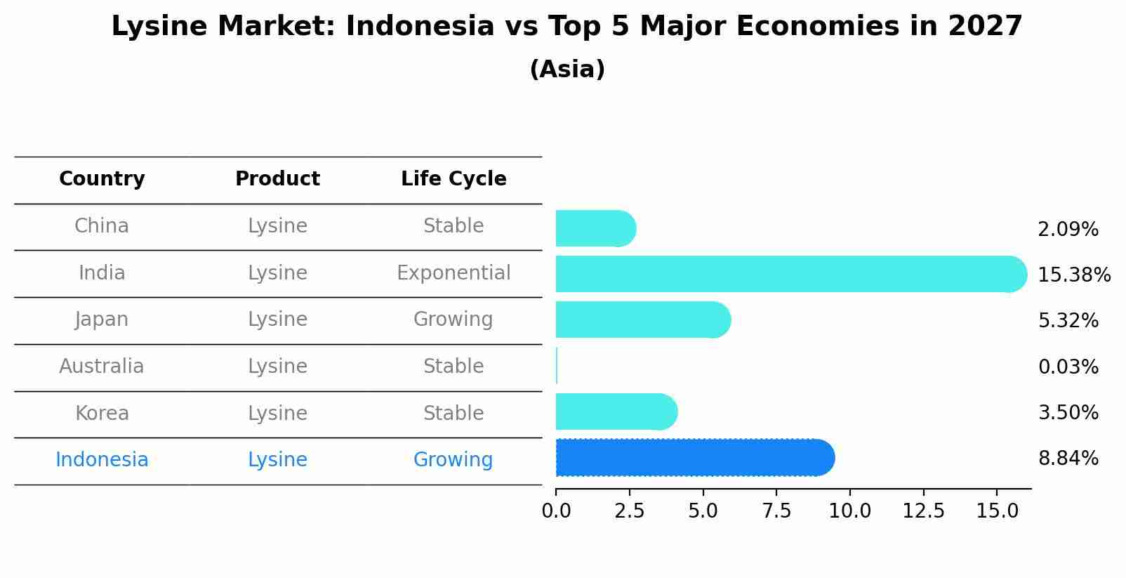 Lysine Market: Indonesia vs Top 5 Major Economies in 2027 (Asia)