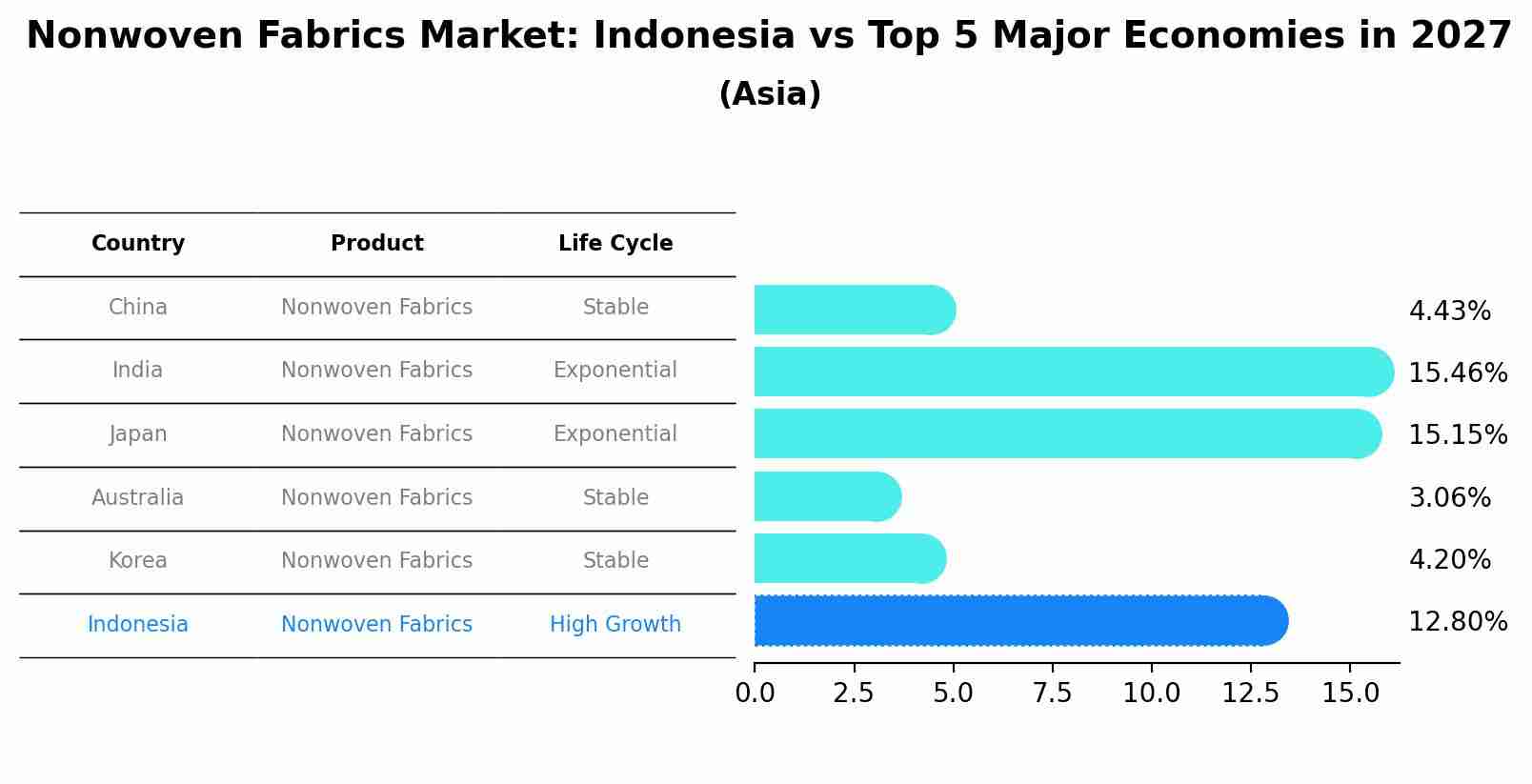 Nonwoven Fabrics Market: Indonesia vs Top 5 Major Economies in 2027 (Asia)