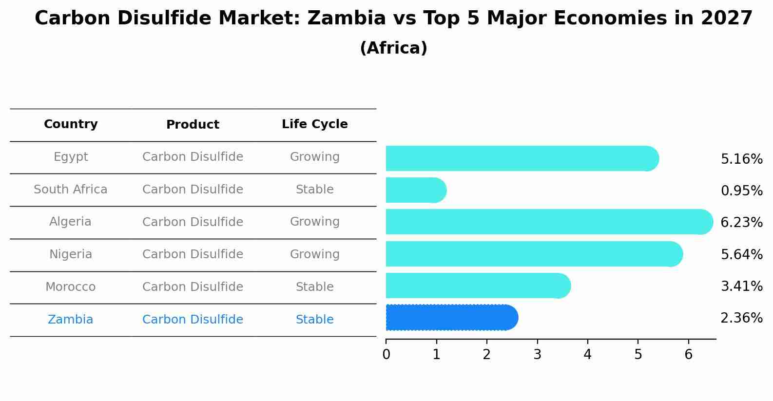 Carbon Disulfide Market: Zambia vs Top 5 Major Economies in 2027 (Africa)