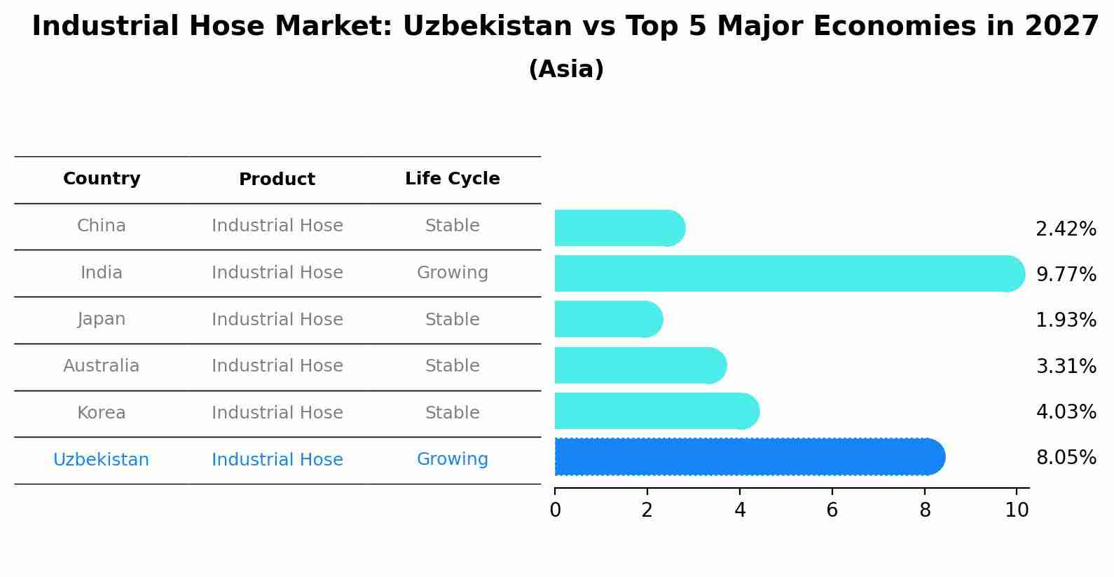 Industrial Hose Market: Uzbekistan vs Top 5 Major Economies in 2027 (Asia)