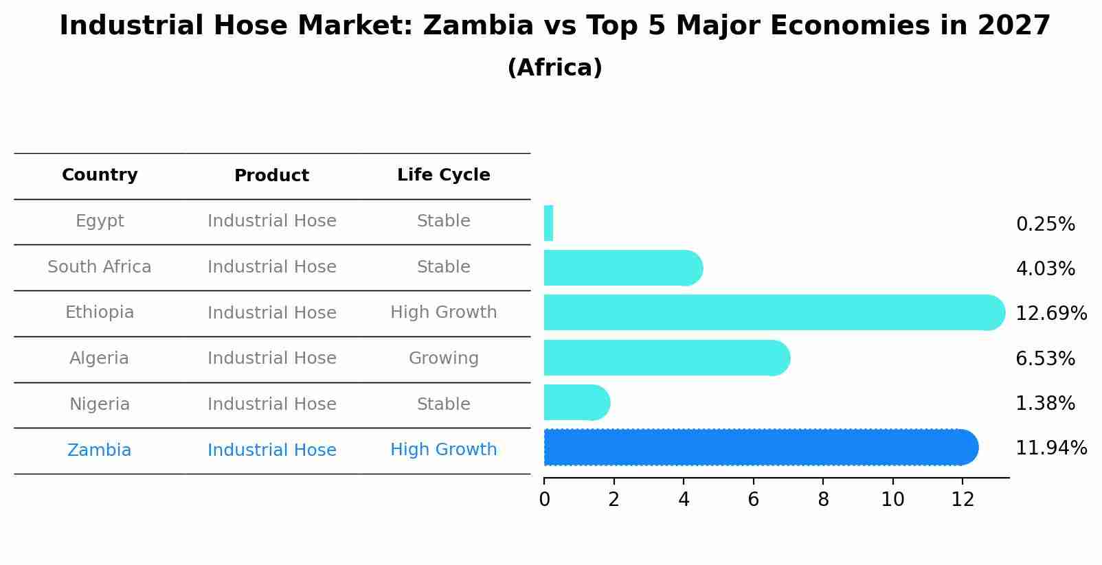 Industrial Hose Market: Zambia vs Top 5 Major Economies in 2027 (Africa)
