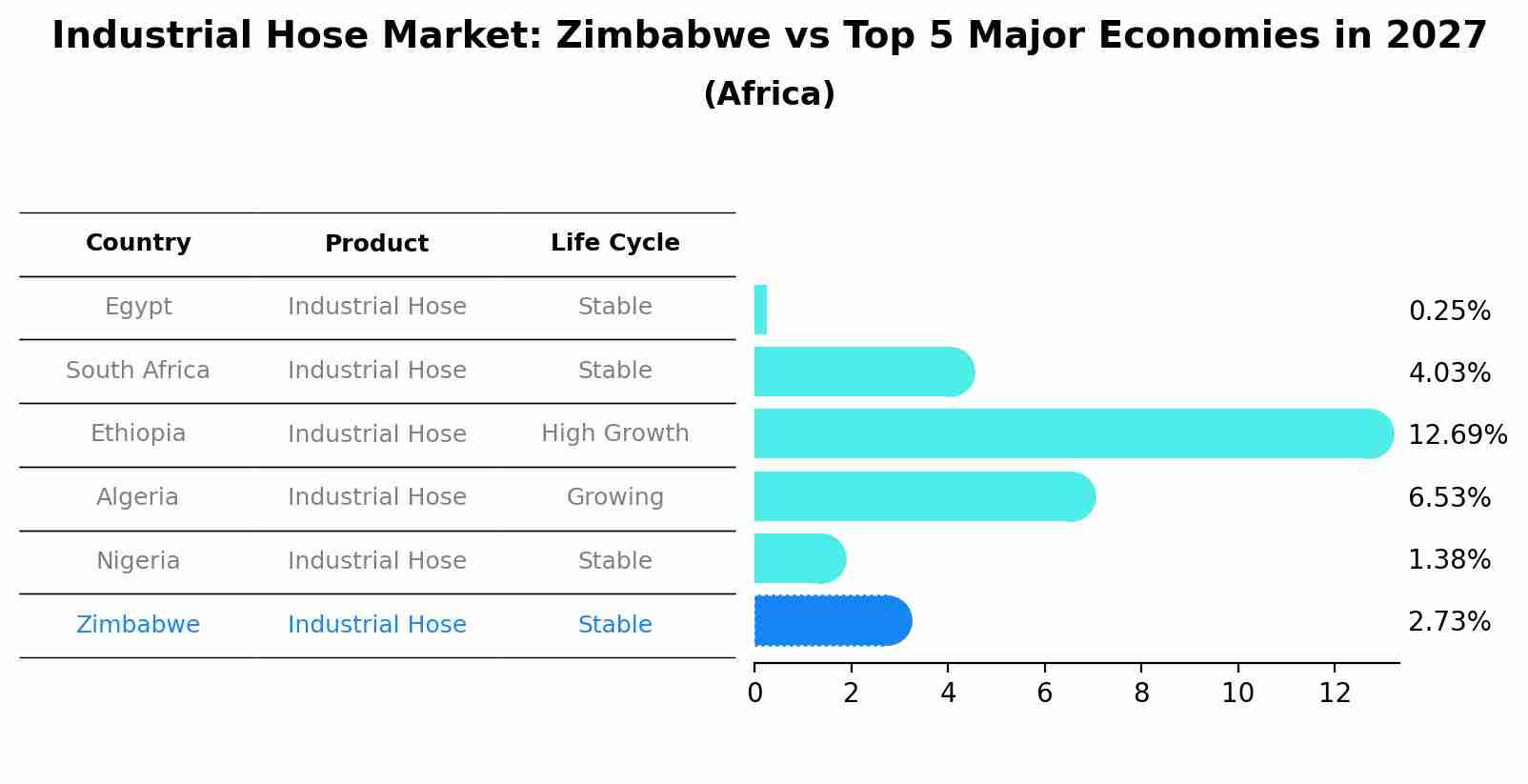 Industrial Hose Market: Zimbabwe vs Top 5 Major Economies in 2027 (Africa)