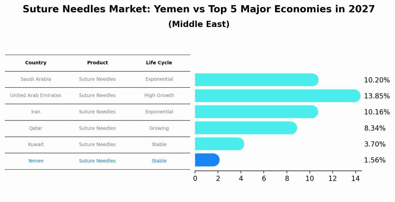 Suture Needles Market: Yemen vs Top 5 Major Economies in 2027 (Middle East)