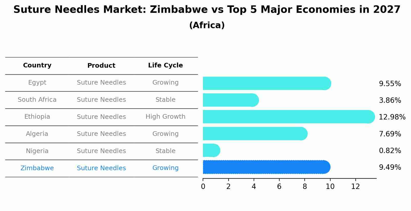 Suture Needles Market: Zimbabwe vs Top 5 Major Economies in 2027 (Africa)