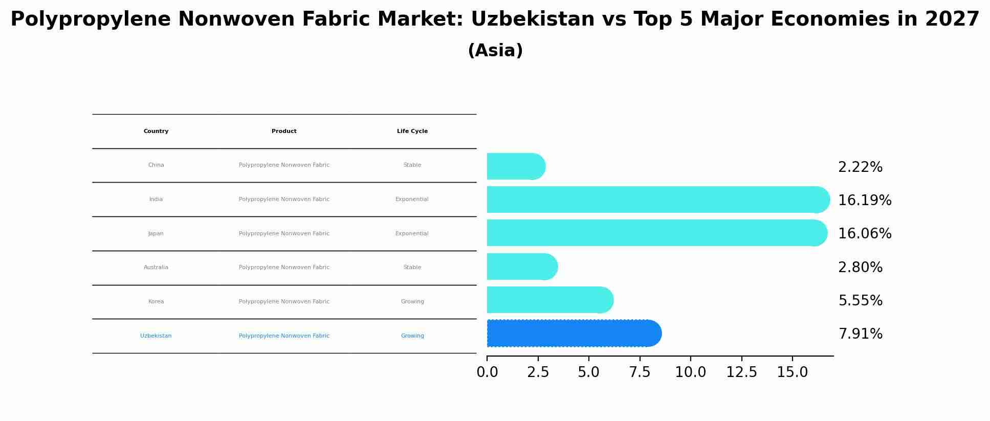 Polypropylene Nonwoven Fabric Market: Uzbekistan vs Top 5 Major Economies in 2027 (Asia)