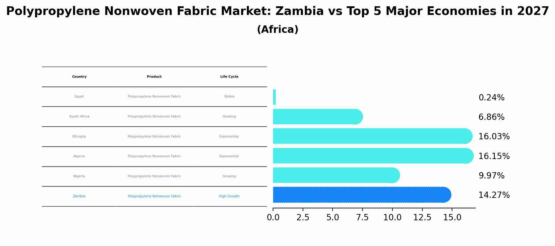 Polypropylene Nonwoven Fabric Market: Zambia vs Top 5 Major Economies in 2027 (Africa)