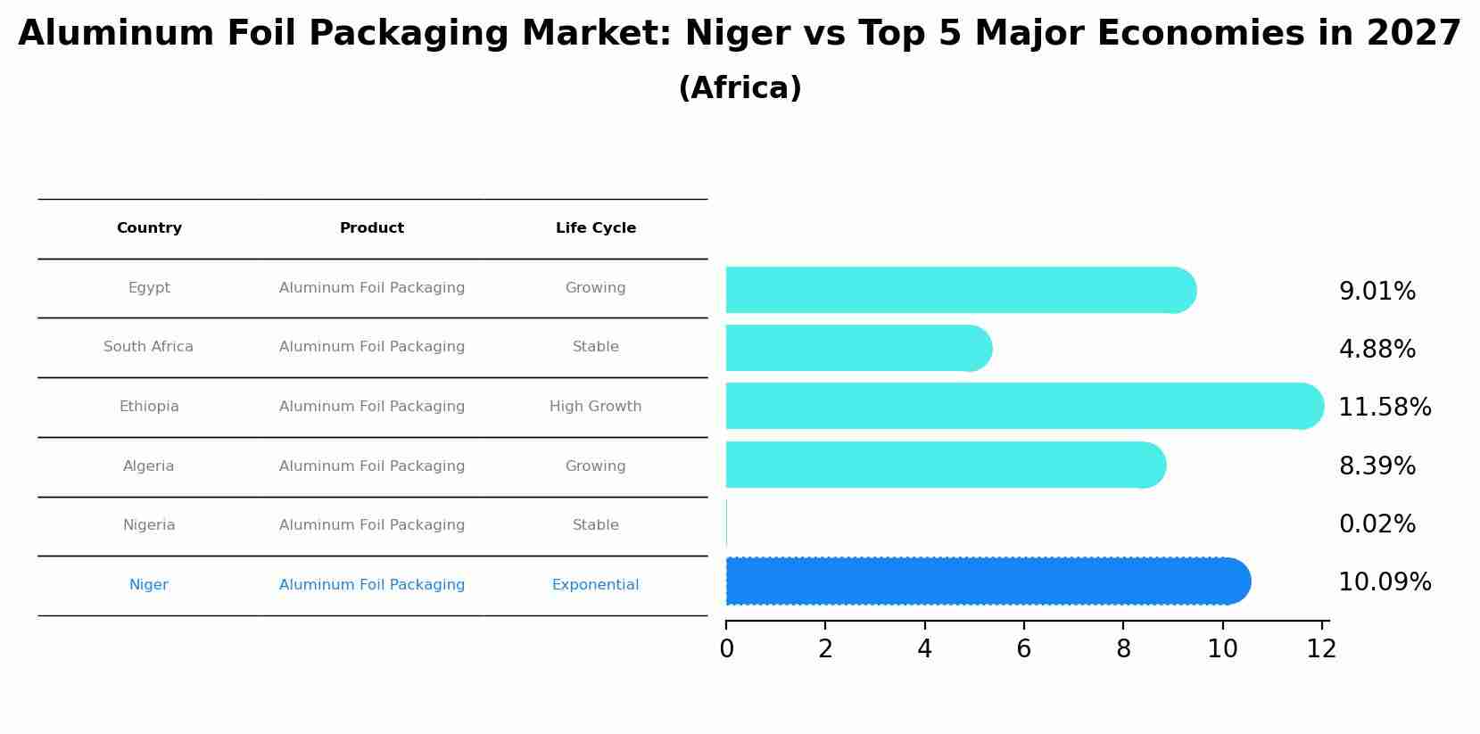 Aluminum Foil Packaging Market: Niger vs Top 5 Major Economies in 2027 (Africa)
