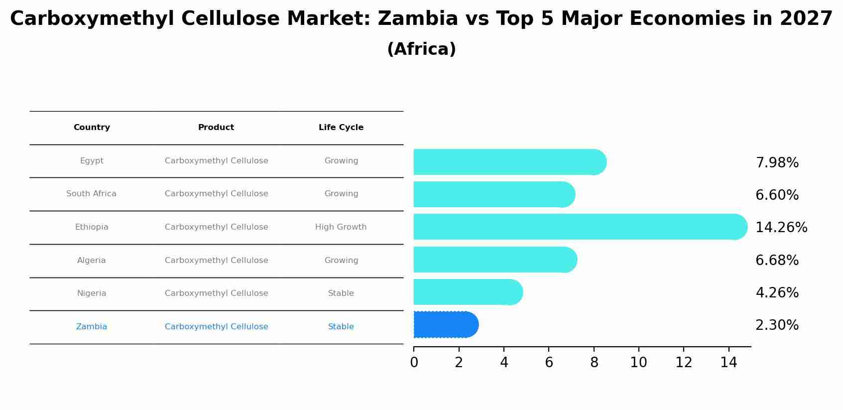 Carboxymethyl Cellulose Market: Zambia vs Top 5 Major Economies in 2027 (Africa)