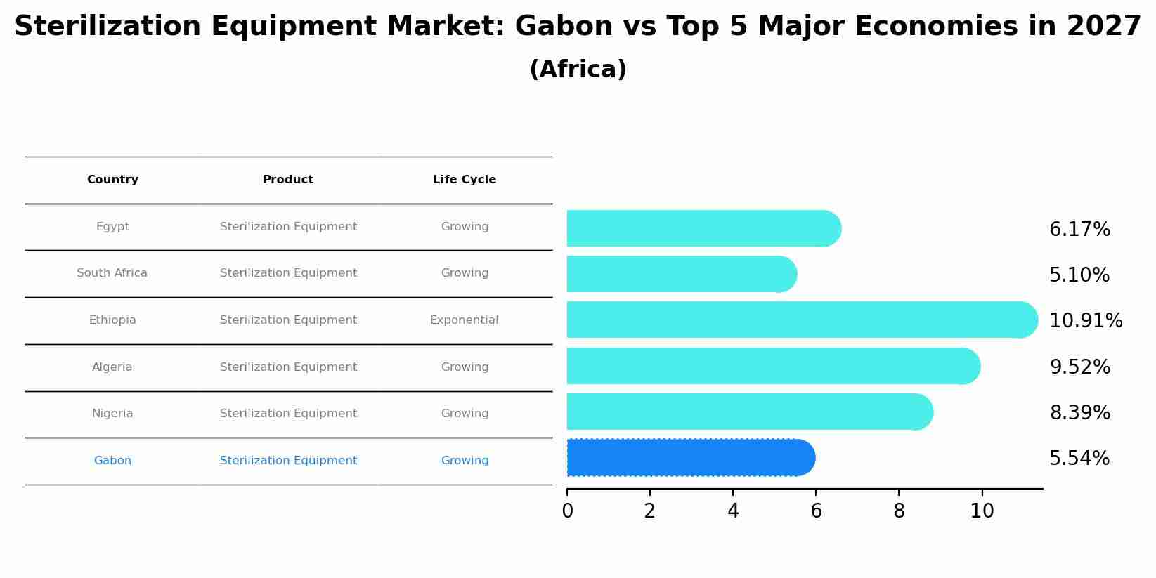Sterilization Equipment Market: Gabon vs Top 5 Major Economies in 2027 (Africa)